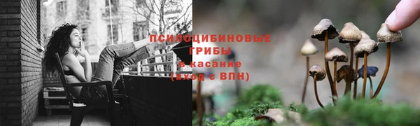 таблы Горно-Алтайск